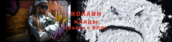 дмт Осташков