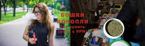 дмт Осташков