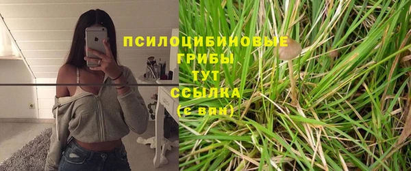 дмт Осташков