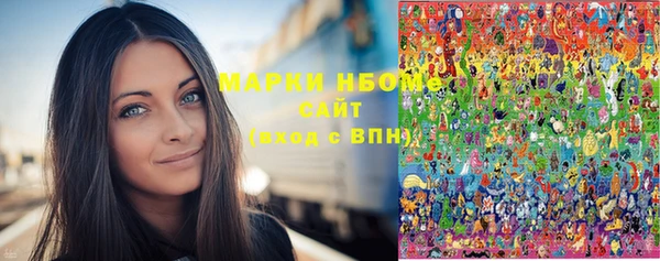 дмт Осташков
